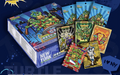 2025 Vanluck Teenage Mutant Ninja Turtles "Mirror Zenith City Heroes" Trading Cards